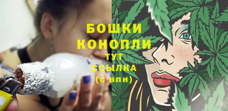 где купить наркоту  Апатиты  Бошки Шишки OG Kush 